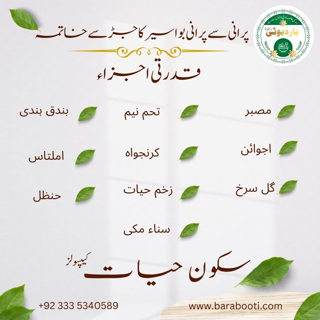 Skoon Hayyat Capsules - Image 2