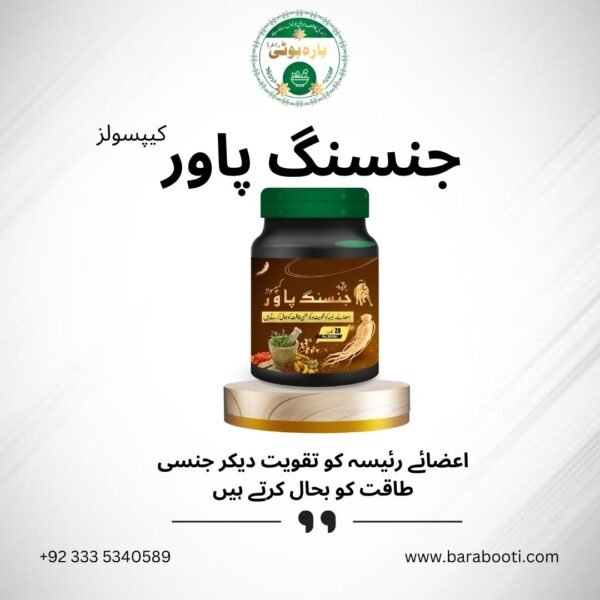 Ginseng Power Capsules - Image 3